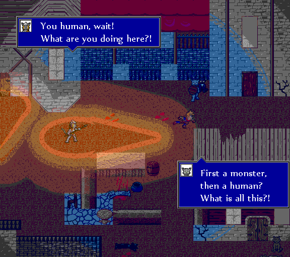You human, wait! What are you doing here?! First a monster, then a human? What is all this?!